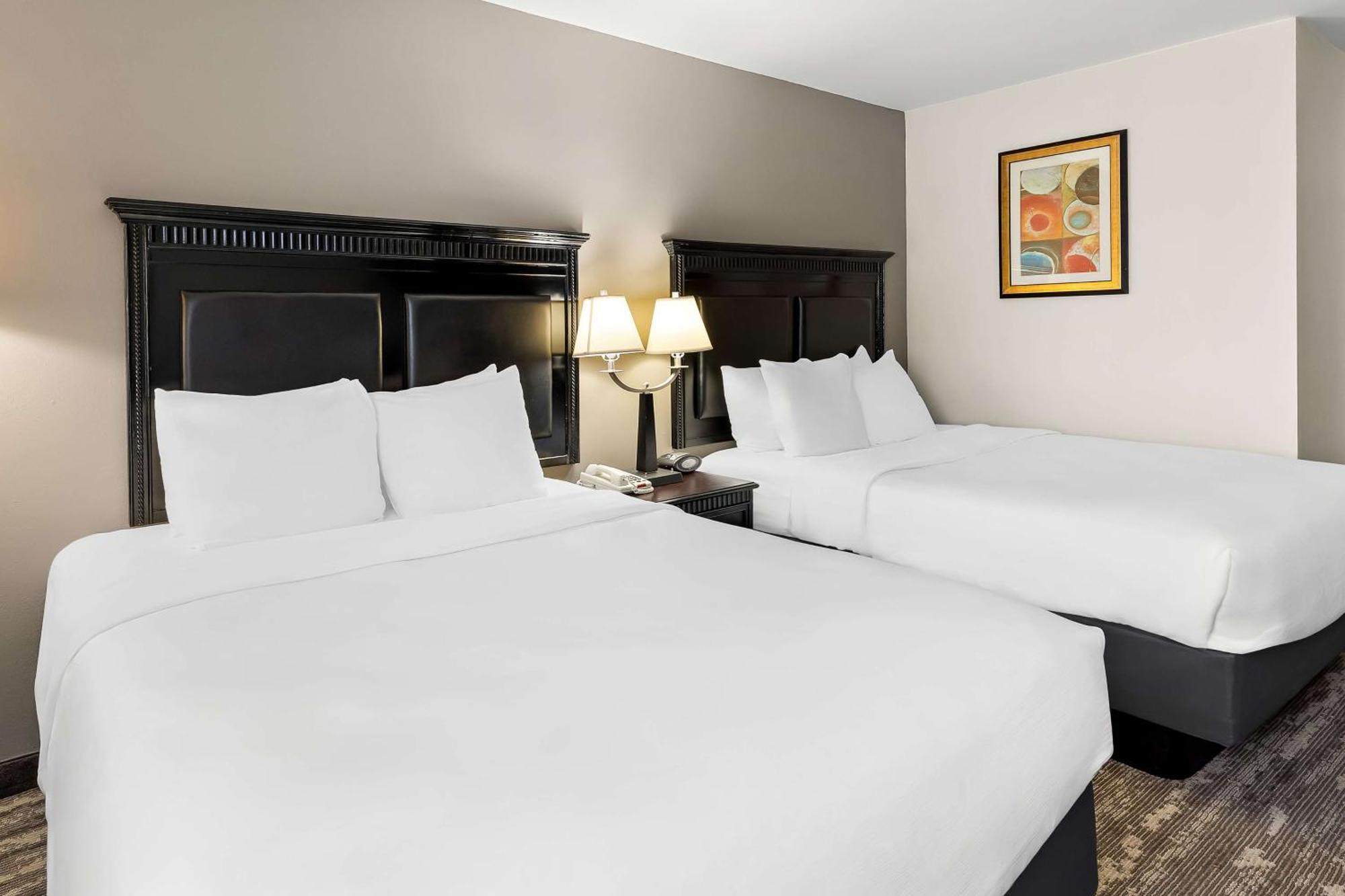 Best Western Saluki Inn Carbondale Dış mekan fotoğraf